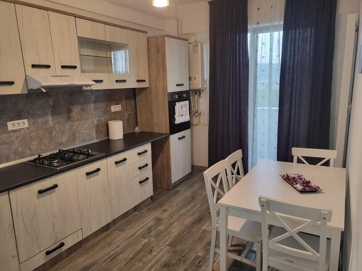Apartament Dem Radulescu Apartment Râmnicu Vâlcea Екстериор снимка