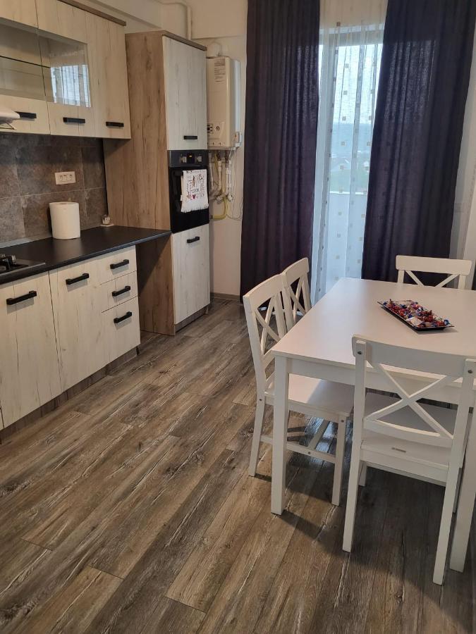 Apartament Dem Radulescu Apartment Râmnicu Vâlcea Екстериор снимка